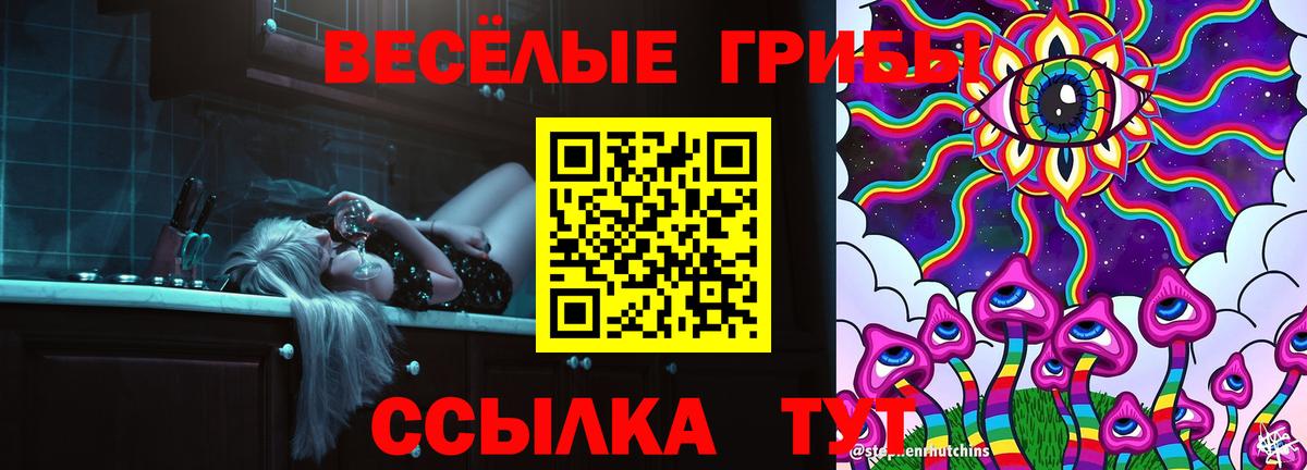 Галлюциногенные грибы Cubensis Москва