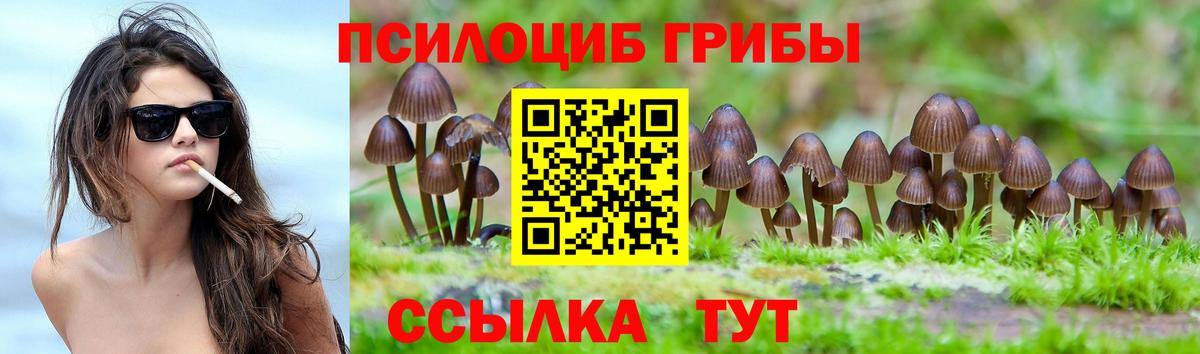 Москва  Псилоцибиновые грибы ЛСД  Вход с VPN 